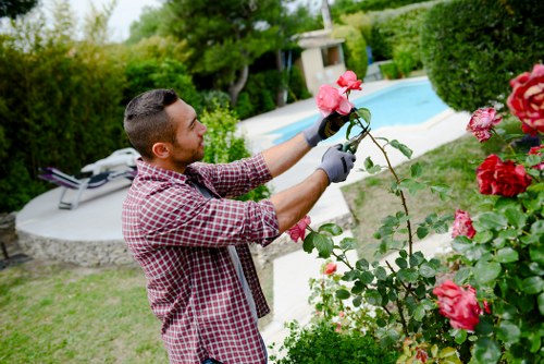 Illustration of a gardener complaints process in action