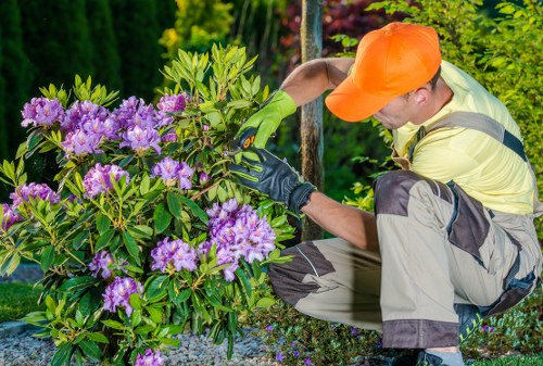 Local gardeners in Beckenham caring for a residential garden