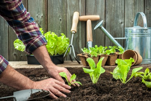 Professional gardener maintaining a Beckenham garden border