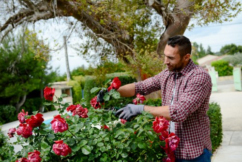 Gardener preparing a garden service booking and planning outdoor work
