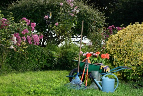 Garden maintenance and lawn cutting in Beckenham