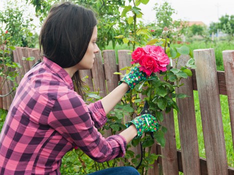 Final section of garden service terms with legal governing law details