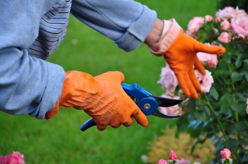 Green residential lawn care in Beckenham with neatly cut grass