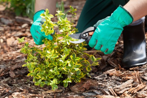 Beckenham garden maintenance worker following safe procedures