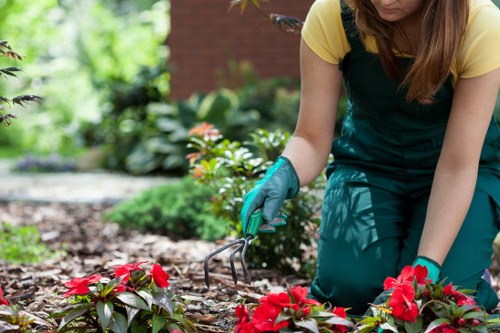Gardeners Beckenham creating a beautiful outdoor space with seasonal plants