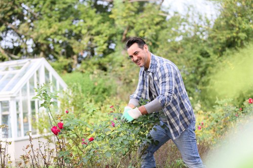 Professional tree pruning and sectional removal in Beckenham