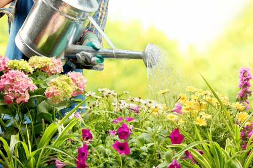Professional hedge cutting service shaping a boundary hedge in Beckenham