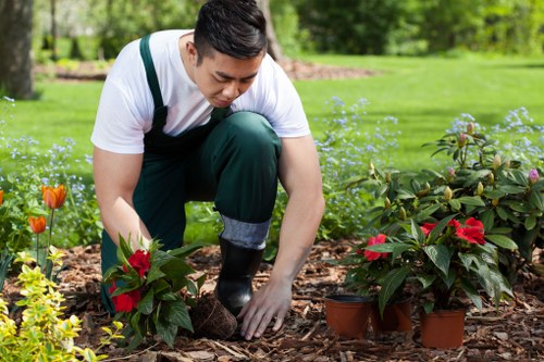 Seasonal garden maintenance by gardeners in Beckenham