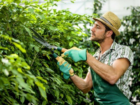 Autumn leaf clearance and lawn care in Beckenham garden