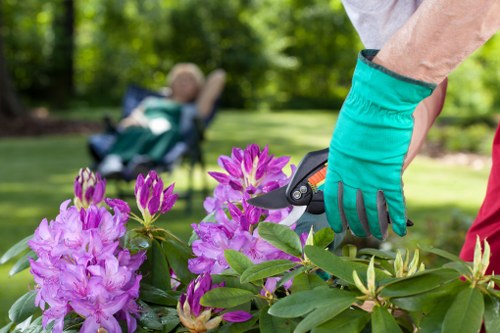Autumn garden maintenance in Beckenham with leaf clearance and tidy pathways