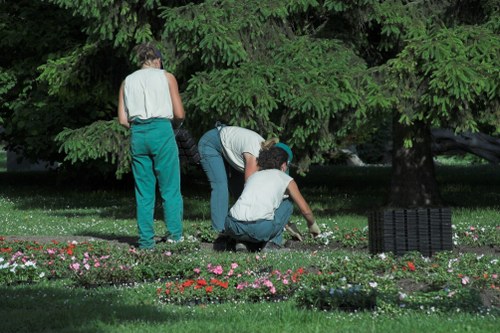 Summer grass cutting and lawn care in Beckenham