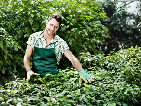 Responsible business statement for Gardeners Beckenham