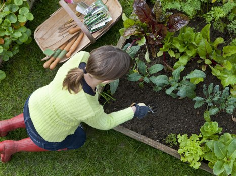 Neat and refreshed outdoor space after garden clearance in Beckenham