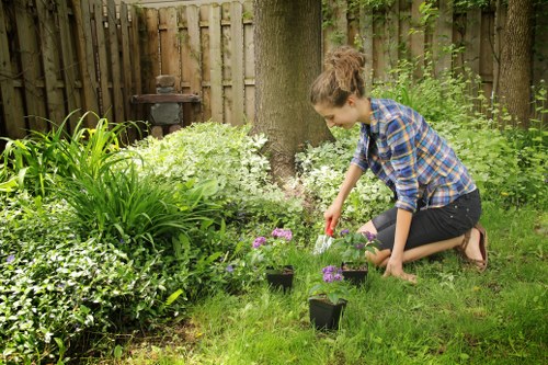 Decking project planning for a Beckenham home garden