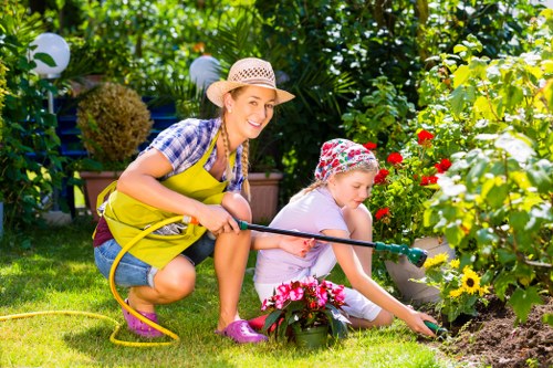 Seasonal hedge trimming work in a Beckenham outdoor space