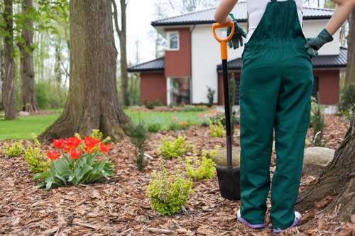 Recycling-focused garden maintenance in Beckenham with sustainable practices