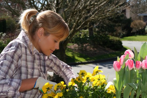 Front garden landscaping in Beckenham with neat paths and shrubs