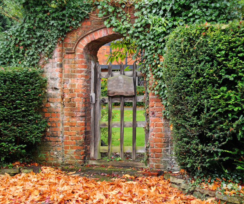 yard Property